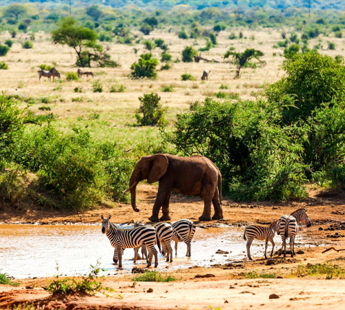 Tarangire-national-parkmn.jpg
