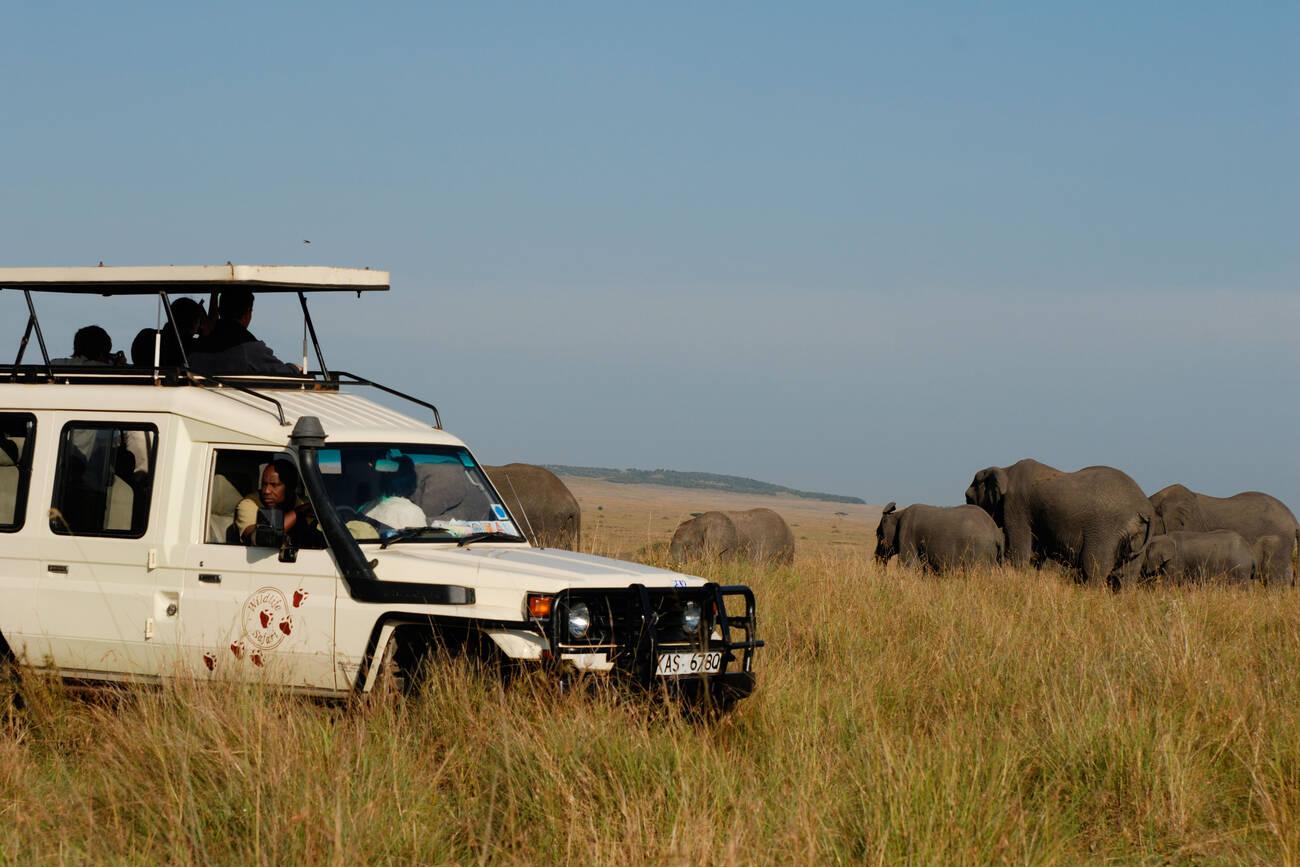 masai mara