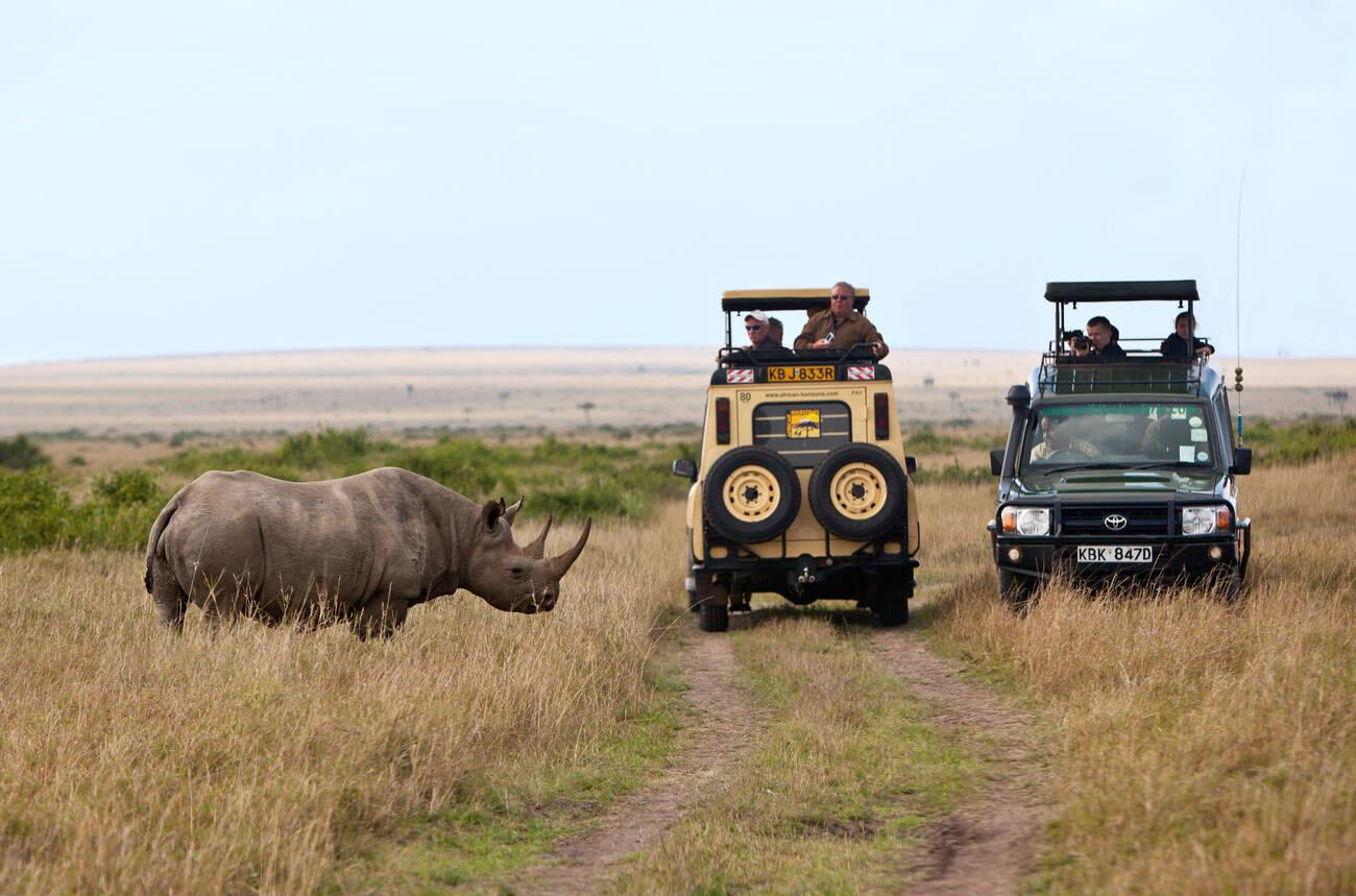 safari masai mara (7)